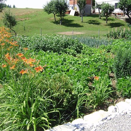 House Osana Hotel Грабовац Екстериор снимка