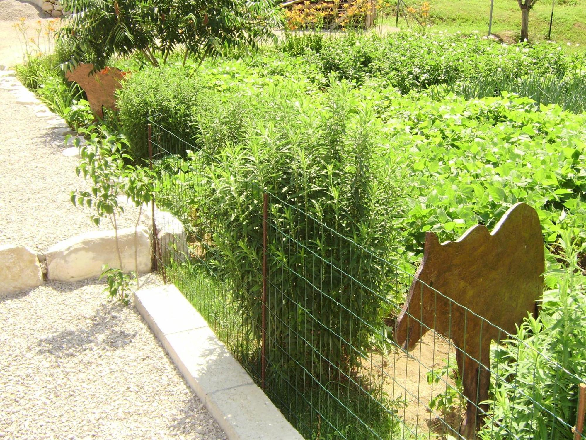 House Osana Hotel Грабовац Екстериор снимка