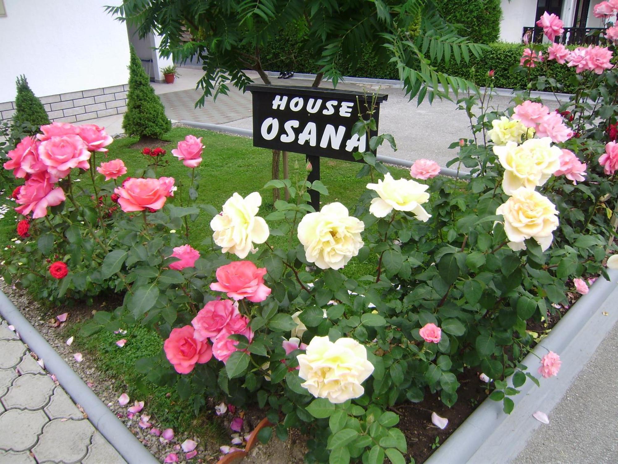 House Osana Hotel Грабовац Екстериор снимка